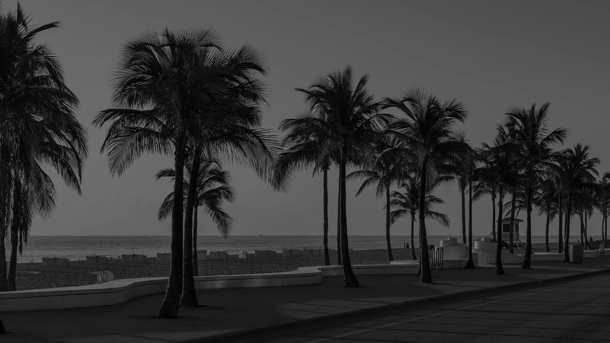 palms